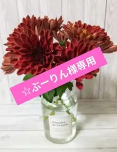 ぶーりん様専用！ C マウントオービスク・バーガンディ＆A 香匂 ☆