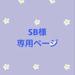SB様専用ページ TXT スビン ミニネムボ②