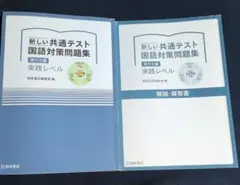 新しい共通テスト 国語対策問題集 解答・解答書付き