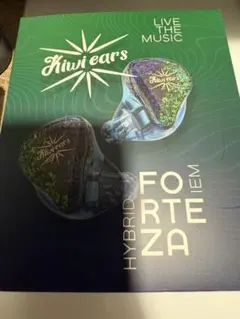 kiwi year Fortezaのサムネイル