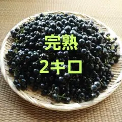 2025年最新】ハックルベリーの人気アイテム - メルカリ