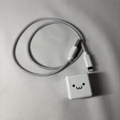 エレコム　ACアダプター　ライトニングケーブル付き