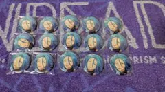 あんスタ コレクション缶バッジ HiMERU 15個セット