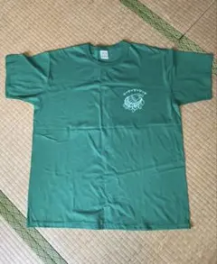 Item thumbnail for item c7f8d330-510f-4b07-b41f-cab977438e06