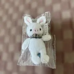 美男ですね　ブタうさぎキーホルダー