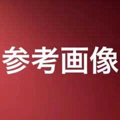 参考画像です