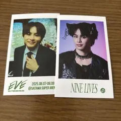 Item thumbnail for item 4319530e-0b98-4409-a897-dff532ca8a5f