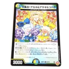 大集合!アカネ&アサギ&コハク　ワンオンフェアリー　ホイル デュエルマスターズ 大集合！アカネ＆アサギ＆コハク ホイル - メルカリ