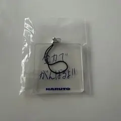 TREASURE メッセージストラップ HARUTO アクリルキーホルダー