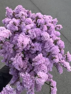 魔女様 リクエスト 2点 まとめ商品