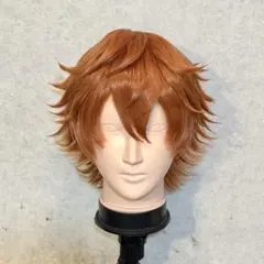 2025年最新】ウィッグ ズートピア ニックの人気アイテム - メルカリ