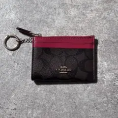 極美品 COACH コーチ ミニスキニー IDケース 小銭入れ付き パスケース