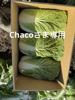 Chacoさま専用ページ