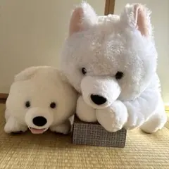 くったりサモエドくん スカーフ超特大 GiGO限定 - メルカリ