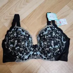 大きいサイズ・E85・ブラ