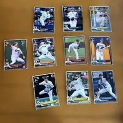 Item thumbnail for item eaf8757e-af57-4b7d-80fd-c6a618090080