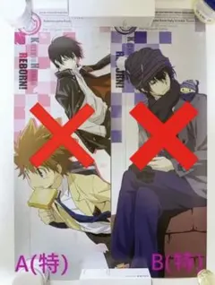 家庭教師ヒットマンREBORN！ リボーン ポスターセット 雲雀多め 計14点