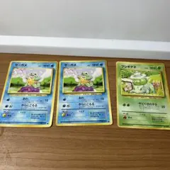 フシギダネ ゼニガメ ○ 第1弾拡張パック 初期 旧裏 - メルカリ
