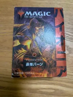 2026年最新】パイオニアチャレンジャーデッキの人気アイテム - メルカリ