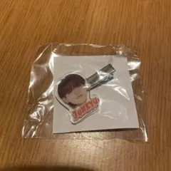 treasure wonderland カプセルトイ　ヘアクリップ