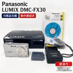 2026年最新】LUMIX DMC-FX30の人気アイテム - メルカリ