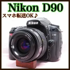 Nikon D90 美品 バッグ付 手ブレ補正レンズ付 初心者おすすめ 安心