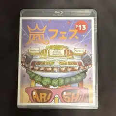 아라시 아라시 '13 내셔널 스타디움 2013...