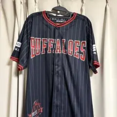 Item thumbnail for item f64349b3-3e6b-407a-9a2f-d96f8c851b98