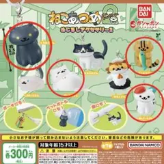 ねこあつめ2 めじるしアクセサリー