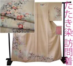 値下げ交渉OK！夏物 S寸 裄長め 絽ちりめん 訪問着 正絹 F291