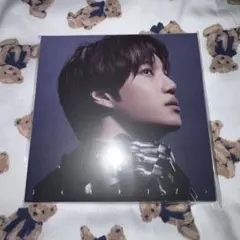 EXO REVERXE 中国深圳 小芒 サイン会 特典 トレカ カイ KAI - メルカリ