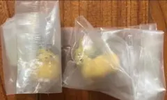 ハイキュー　おすわりちょこん　ツムキツネ　サムキツネ　宮侑　宮治