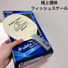 ビスカリア 極上個体 フィッシュスケール 卓球ラケット FL シェーク H1 