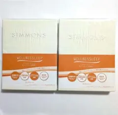 Item thumbnail for item f8a5c2e9-46a9-460b-8789-79aecfa3fbe1