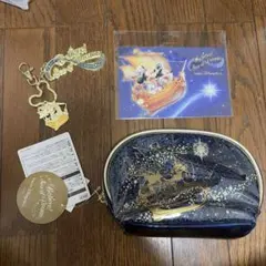 ディズニークルーズ Adventure パスポートケース ネームタグ 限定品