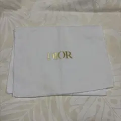 Dior ホワイトポーチ 金色ロゴ