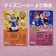 ディズニーリゾートライン フリー切符 リゾラ 使用済み パルパルーザ ドナルド