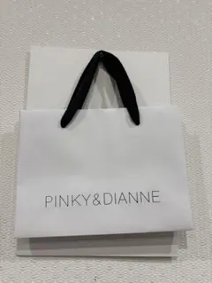 COACH袋とPINKY&DIANNE ギフトボックスとショップ袋セット
