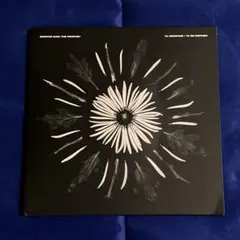 Survive Said The Prophet To Redefine 限定盤