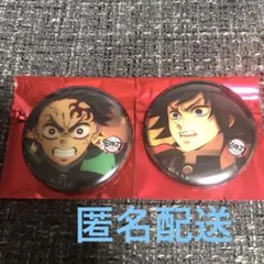 鬼滅の刃 無限城へと 缶バッジ 竈門炭治郎 冨岡義勇