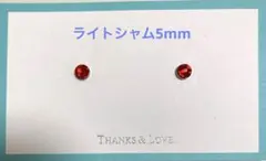 マグネットイヤリング ライトシャム5mm×Gキャッチ