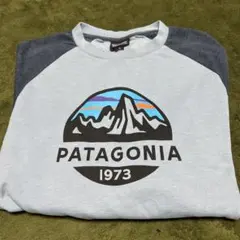 patagonia フィッツロイスコープライトウェイト クルースウェットシャツ
