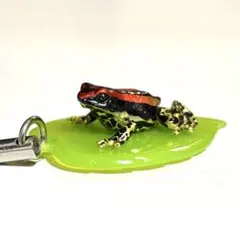 Item thumbnail for item bbbbc80c-dfe4-49a3-a1fa-866aa2ff17f7