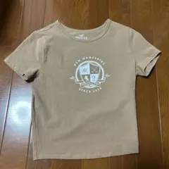Hollister 半袖Tシャツ ベージュ S