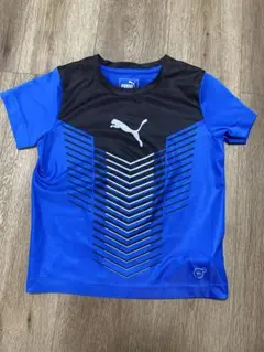 Item thumbnail for item d7ffe2fe-4ed3-47c4-9145-154858540afb