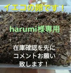 harumi様専用です!ネコポス発送になります！