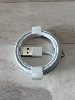 USB-A Lightningケーブル