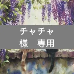 チャチャ様　専用