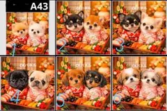 ご確認用　43 わんこ柄　ハンカチ　ハンドメイド12/23