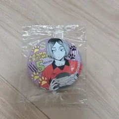 ハイキュー　ポートレート　缶バッジ　研磨